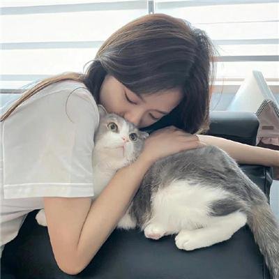 南来北往